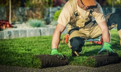 Affordable Landscapers Geelong: Transforming Your Outdoor Spaces