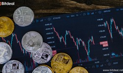 The complete guide to white-label crypto exchange