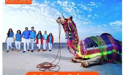 Discover the Charms of Gujarat with the Best Tour Packages