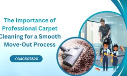 The Importance of Professional Carpet Cleaning for a Smooth Move-Out Process