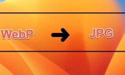 [Solved] Convert WebP to JPG on Mac in Different Ways