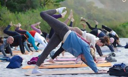 What Changes Can You Expect In Your Body After 200 Hour Yoga Teacher Training Rishikesh?