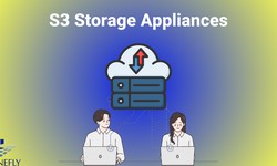 S3 Storage Appliances for Data Storage: A Comprehensive Guide