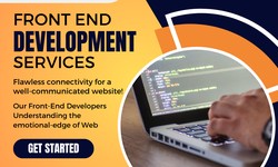 Unlocking the True Potential of the Front End Developer Services