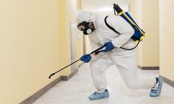 Pest Control Services in Dombivli