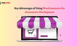 Key Advantages of Using WooCommerce for eCommerce Development