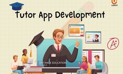 Why Should You Invest in a Tutor App?