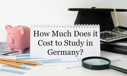 How Much Does it Cost to Study in Germany?