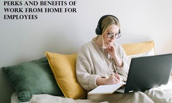 Enhancing Perks and Benefits of Work from Home for Employees