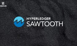 Securing Your Hyperledger Sawtooth Node: Best Practices for Node Security