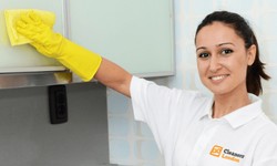 Clean and Serene: Elevate Your Spaces with Professional Cleaning Services
