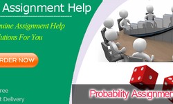 Get Online Probability Assignment Help from Professional Statistics Experts
