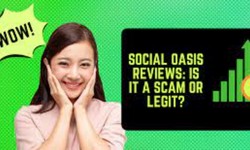 The Truth About Social Oasis: Why It's a Scam?