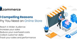 10 Compelling Reasons Why You Need an Online Store