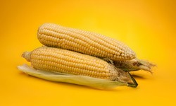 Ways to Enjoy Our Freeze Dried Corn