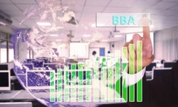 Top 5 Reasons to Pursue a BBA (IT) Course