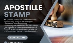 The Comprehensive Guide to Apostille Certification in Vietnam: Your Key to International Document Validation