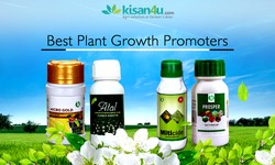 Boost Your Garden's Productivity with Organic Plant Growth Promoters