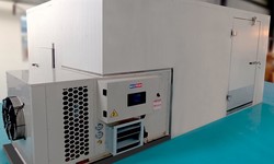 What are the main types of IQF freezers?
