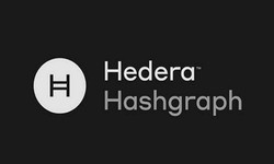 Understanding Hedera Nodes: The Backbone of the Hedera Hashgraph Network