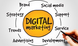The Role of Digital Marketing Agencies in Today's Business Landscape