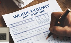 Visa and Work Permit Services for Expatriate Employees