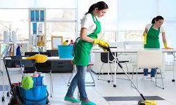 Maid to Shine: Premier Cleaning Services in Toronto