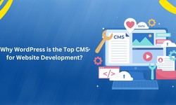 Why WordPress is the Top CMS for Website Development?