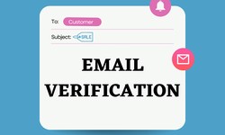 Email Verification: The Key to Unlocking Your Email Potential