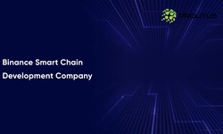 The Role of Binance Smart Chain in Empowering New Startup Projects and Entrepreneurs