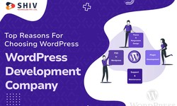 Top Reasons For Choosing WordPress | WordPress Development Company