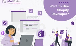 Want To Hire  Shopify Developer? Know About the Pros and Cons Beforehand