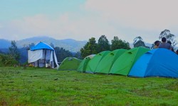 Unleash Your Adventurous Spirit with a Unique Tent Stay in Manali!