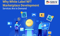 Why White Label NFT Marketplace Development Services Are in Demand