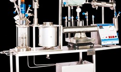 Discover the Benefits of Pilot Skids in High Pressure Reactors