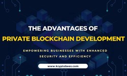 The Advantages of Private Blockchain Development: Empowering Businesses with Enhanced Security and Efficiency