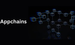 Exploring the Power of Appchains: Scalable and Customizable Blockchain Solutions