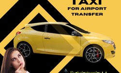 What to Expect When Taking a Taxi from Frankfurt Airport
