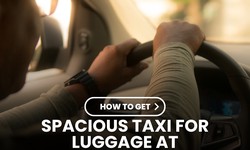 How to Get a Spacious Taxi for Your Luggage at Frankfurt Airport