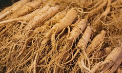 Ginseng: The Natural Elixir for Mind and Body