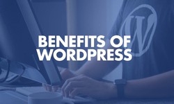 Benefits of Using WordPress for Websites
