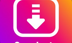 SnapInsta: Elevate Your Instagram Experience with Effortless Downloads