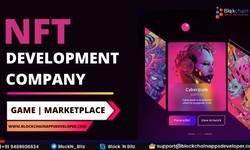 NFT Development Company - BlockchainAppsDeveloper