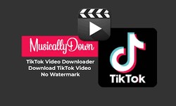 MusicallyDown: Your All-in-One Solution for TikTok Video Downloads