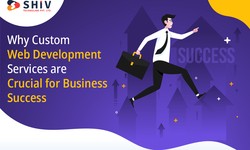 Why Custom Web Development Services are Crucial for Business Success