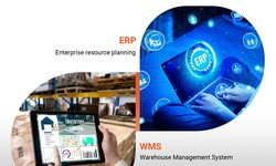 What is the Difference Between WMS and ERP Software?