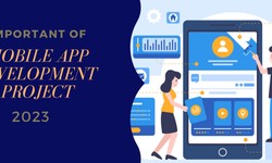 Which is Best for Next Mobile App Development Project?