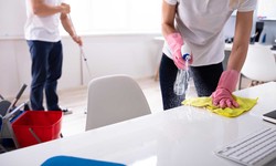 Why You Need Professional Cleaning Services in Baltimore"