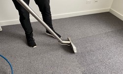 Tailored Cleaning Solutions: Your Go-To Carpet Cleaning Service