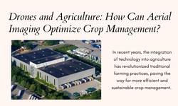 Drones and Agriculture: How Can Aerial Imaging Optimize Crop Management?